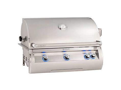 Grilling Like a Pro: Tips and Tricks with the Fire Magic Echelon E790i